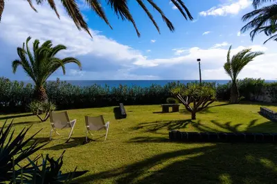 a yard with two chairs and palm trees and the ocean at Dune Beach CoLiving in Porto Santo