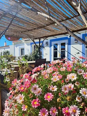 a patio with an umbrella and a house at Casa Presente Guesthouse in Carrapateira