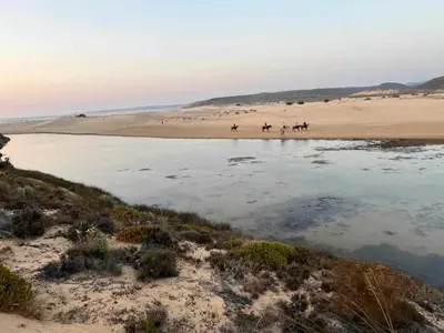 a group of people riding horses on a beach at Casa Presente Guesthouse in Carrapateira