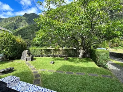 a garden with a tree in the middle of it at Casa da Nogueira in Porto Moniz