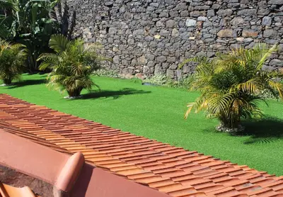 a garden with palm trees and a stone wall at Moradia Stephanie in Funchal