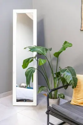 a plant sitting in front of a mirror next to a plant at Peaceful, spacious & stylish, a real home! in Budens