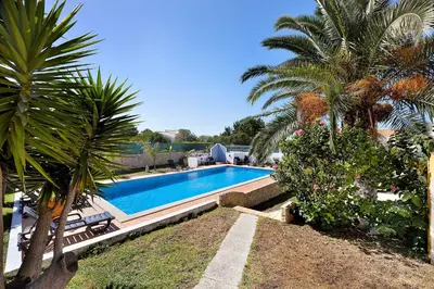 a swimming pool in a yard with palm trees at Villa Oliveira in Aljezur