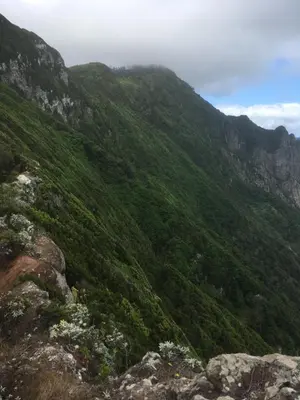 a view of a mountain with green vegetation at Quiet Place in Machico