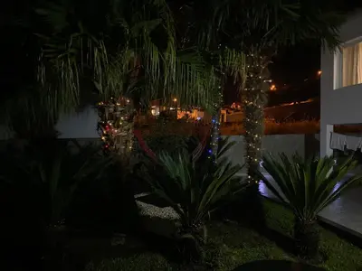 a garden at night with palm trees and christmas lights at Casa do Cantinho do Muro in São Vicente