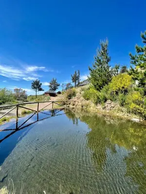 a body of water with a wooden bridge at Mountain Eco Shelter 5 in Funchal