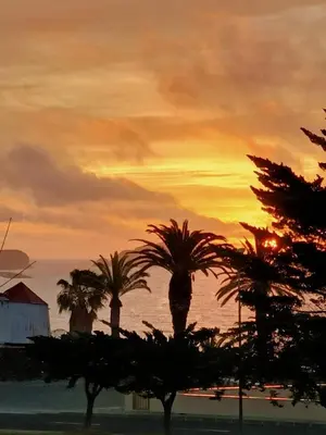 a sunset with palm trees in front of the ocean at Golden Beach House in Porto Santo