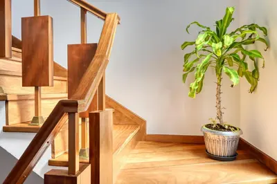 a potted plant sitting on the floor next to a staircase at Casa do Valentim, a Home in Madeira in Ponta do Sol