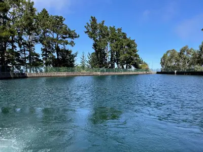 a large body of water with trees in the background at CASA CAROTO in Porto Moniz