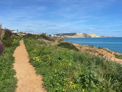 a dirt trail next to the ocean with yellow flowers at Casa Sea Love Luz in Luz