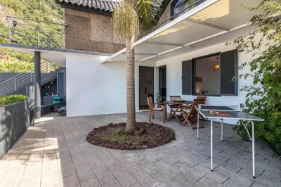 a patio with a table and a palm tree at Palmeira House - Fernandes Cottage in Ponta Delgada