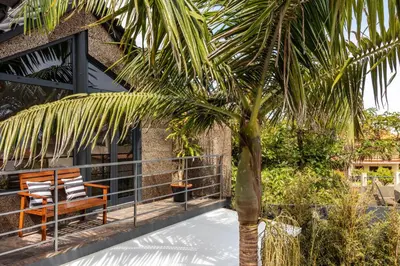 a palm tree in front of a house with a bench at Cork House - Fernandes Cottage in Ponta Delgada