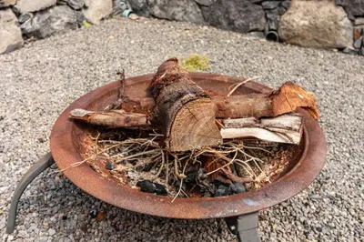 a bowl filled with a piece of wood on the ground at Cork House - Fernandes Cottage in Ponta Delgada