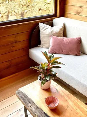 a living room with a couch and a table with a plant at Mountain Eco Shelter 7 in Funchal