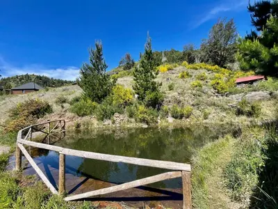 a wooden bridge over a small body of water at Mountain Eco Shelter 7 in Funchal