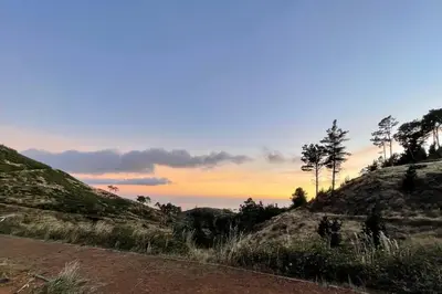 a sunset on a hill with trees on it at Mountain Eco Shelter 6 in Funchal