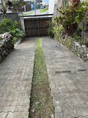 a brick walkway with grass in the middle at Waves Song - Cottage in Porto Moniz