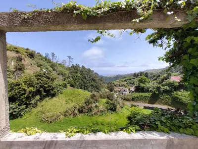 a view of a hill from a window in a vineyard at Casa Rosa - Vereda da Ilha in Santana