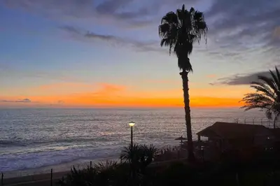 a palm tree in front of the ocean at sunset at Mar Sereno Praia Formosa in Funchal