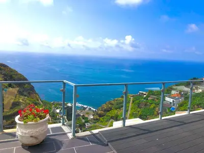 a view of the ocean from a balcony with a pot of flowers at Villa Alex,pool and ocean view in Calheta