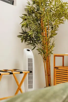 a plant next to a white radiator next to a table at Quintinha Tropical - Panoramic Gateway to Madeira in Funchal