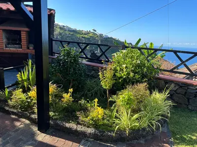a garden with plants in front of a house at Typical House -Madeira Inn Group in Calheta