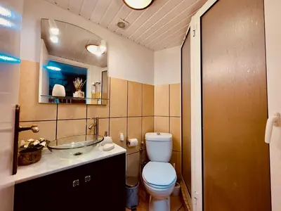 a bathroom with a toilet and a sink at Typical House -Madeira Inn Group in Calheta