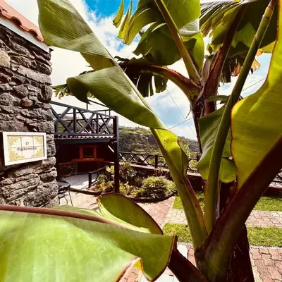 Typical House -Madeira Inn Group