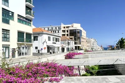 a city street with pink flowers and a bridge at Beco Santa Emilia 3M, a Home in Madeira in Funchal