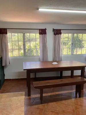 a table and bench in a room with windows at Vivenda Ribeiro - Curral das Freiras in Curral das Freiras