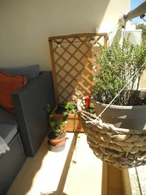 two potted plants on a balcony with a couch at Panorama Apartment Sagres *Pool* in Sagres