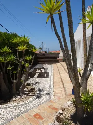 a patio with palm trees and a picnic table at Casa Brisa Suave in Aljezur